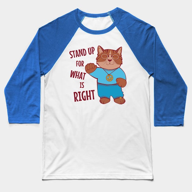 Stand Up for What is Right Baseball T-Shirt by Sue Cervenka